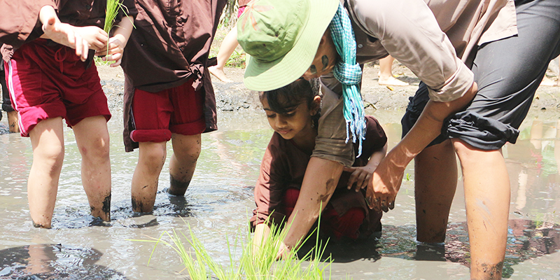 field trip thang 09 tai nong trai tree 12