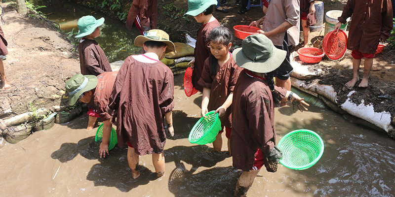 field trip thang 09 tai nong trai tree 16