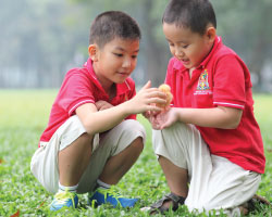 Chương trình Hè khám phá 2017 Chương trình Hè khám phá 2017