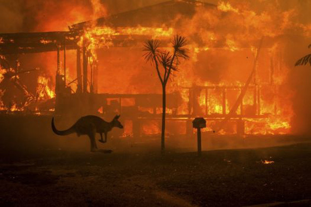 Pray For Australia