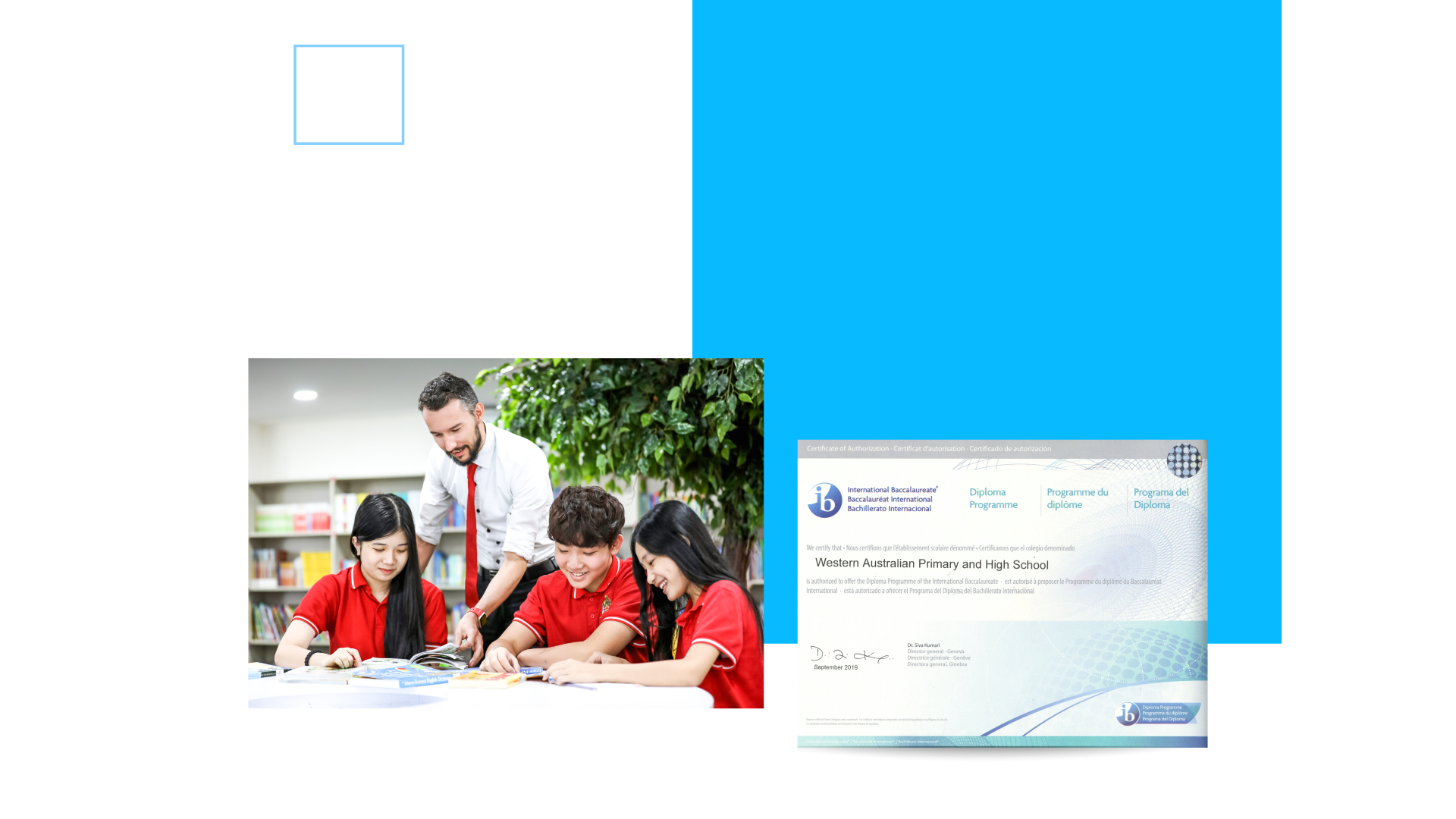 IBDP IBDP