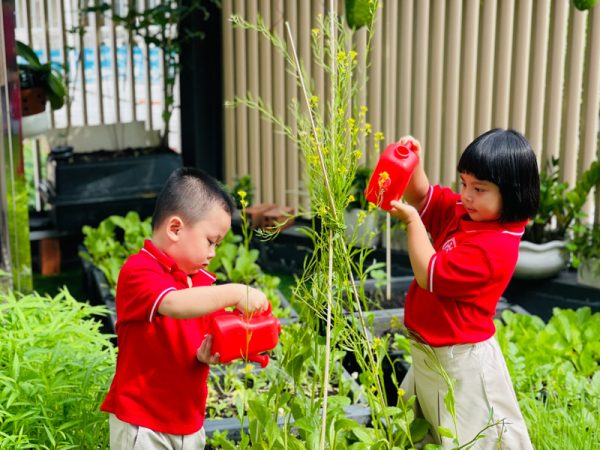 exploring-nature-with-the-summer-program-of-wass-kindergarten