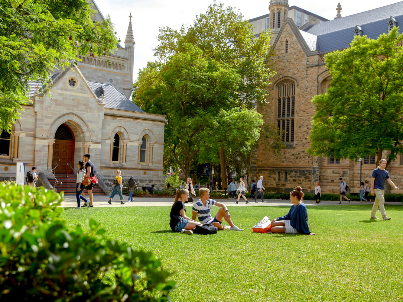 The University of Adelaide có môi trường học tập cởi mở