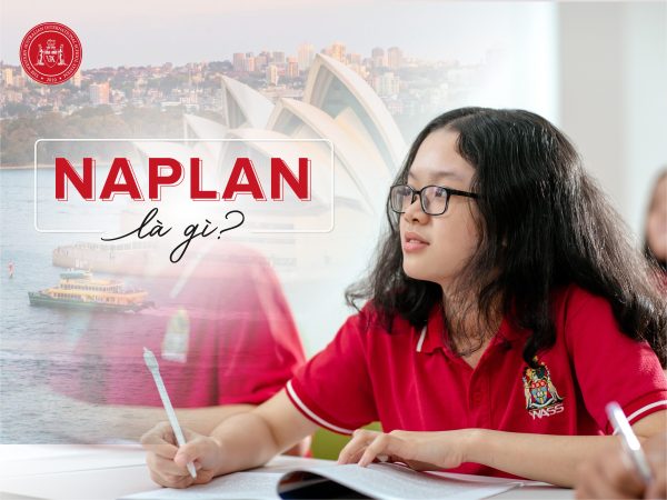ky-thi-naplan-la-gi