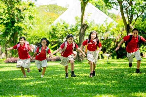 Giáo dục Cảm xúc và Xã hội (SEL)